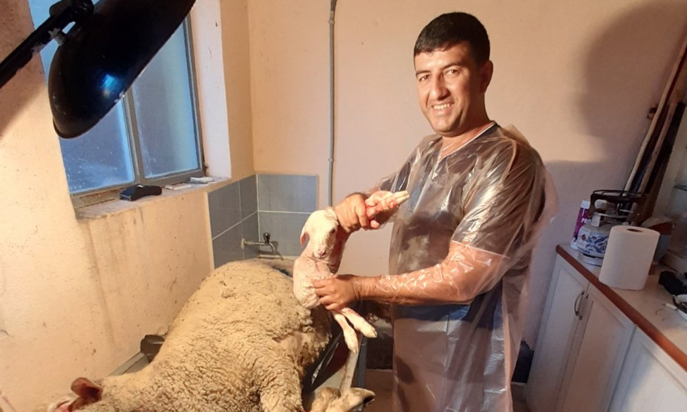 AAA, ELEKTRİKLER KESİLDİ!