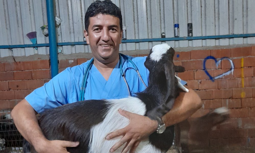 AAA, ELEKTRİKLER KESİLDİ!